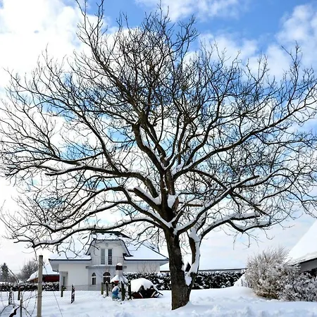 Vodnik * Sveti Jurij ob Scavnici