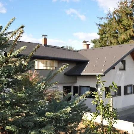 Vodnik Apartman *