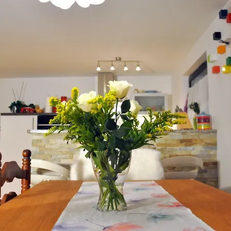Apartman Vodnik *